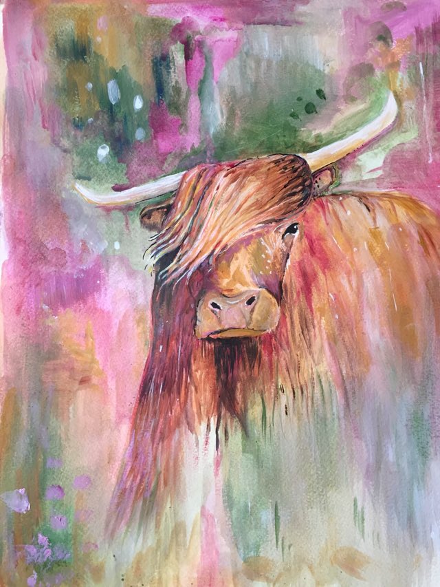 Highland Cow Painting. Highland cow with windswept fringe of hair on a a background of abstract pinks and greens.